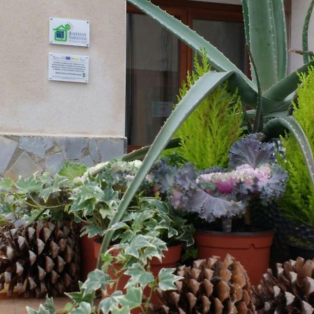 Albergue Turistico Tierras Altas Fuentes de Magana Kültér fotó